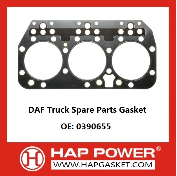 DAF Truck Parts Gasket 0390655