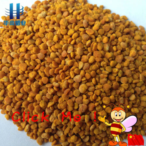 Factory Price New Pure Fresh Camellia Bee Pollen