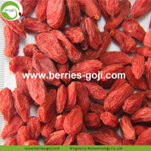 Natuurlijke voeding Gedroogd fruit Lycium Chinensis