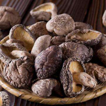 Dried Mushroom With High Nutritional Value