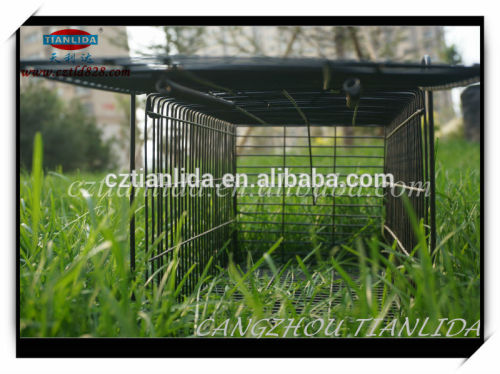 spraying surface natural mice trap cage supplied by factory