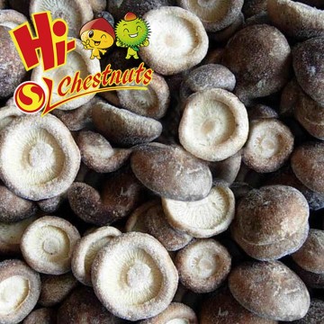 Frozen Shiitake Mushroom IQF Shiitake mushrooms