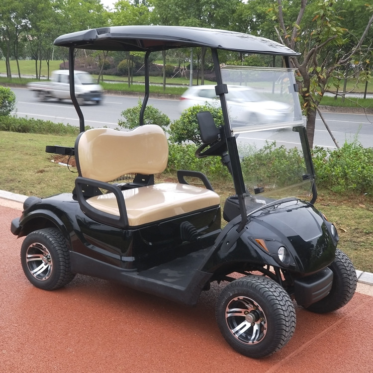 2 seater gasoline powered golf carts