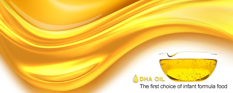 Dha Fish Oil