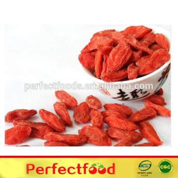 wholesale goji berry