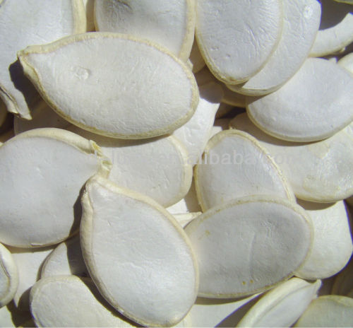 New Crop Pumpkin Seed Price