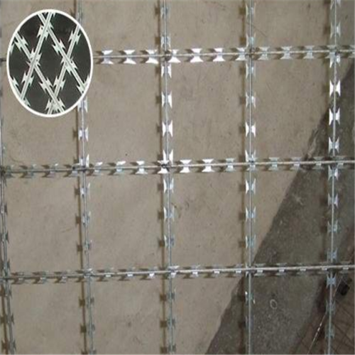 Clôture en fil de fer barbelé de rasoir concertina à bas prix