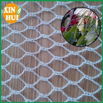 orchard protection nylon bird netting