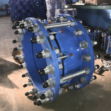 316L Bolt & Nut Dismantling Joint