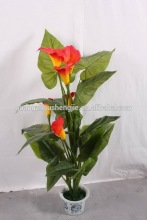 Guangzhou Shengjie artifical decorative anthurium andraeanu plant