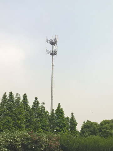 Two Layer Platform Telecom Mast