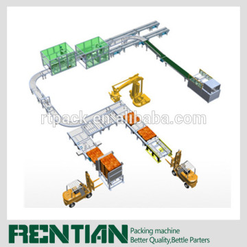 Automatic Case Palletizing solution and Palletizing Production Line
