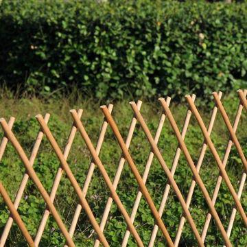 Charring willow expanding trellis