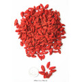 Ningxia Low agricultural residues Dried goji berry