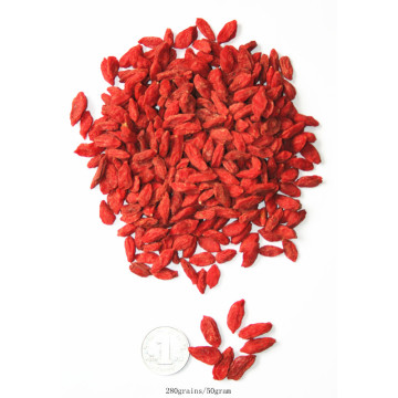 Ningxia Low agricultural residues Dried goji berry