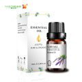 Fragancia de precio a granel Clary Sage Essential Oil Haircare