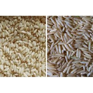 Máquinas de arroz nutricional máquina de hacer arroz artificial