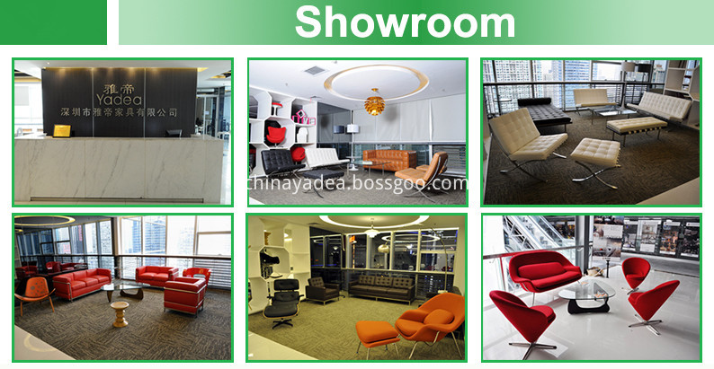 Showroom Jpg