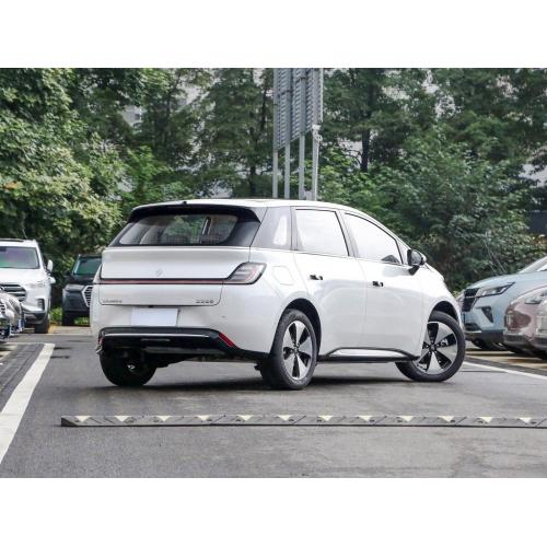 Baojun Yunduo Mini 5-deurs, 5-zits nieuwe energie Hot-Selling Low-Price en kosteneffectieve Pure Mini Electric Car