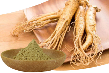 Ginseng Extract Powder for Sale
