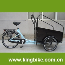 Cargo Bike (KB-T-03)