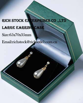 LARGE EARRING CASE