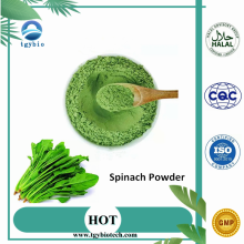 Quality Chinese Products Natural organic Spinach Powder