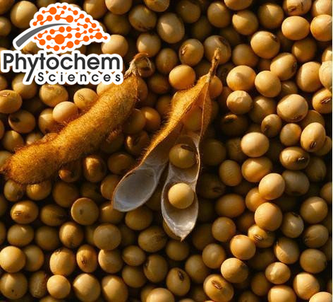 Best price soybean meal 98% Lecithin