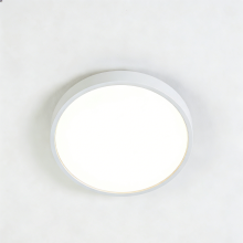 LED ceiling light with balanced light output