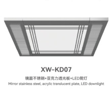 Elevator Ceiling Series XW-KD07