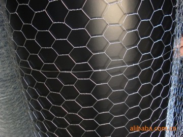 fishpond cover wire mesh