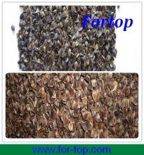 Raw or Roasted Buckwheat Hulls/Husks