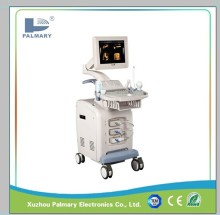 Real-Time Imaging Color Doppler 4D