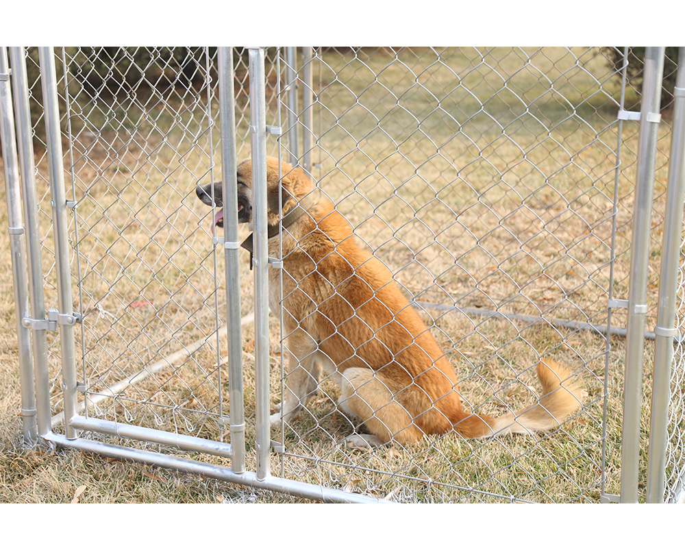 Top Verkauf Hundehütte Top Sell Dog Kennel