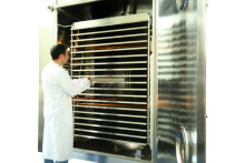 Loquat low temperature vacuum freeze dryer