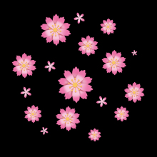 Pink Flowers Gobo Glass Film Slide for Projector - A1-0117