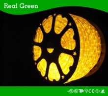 2-Wire Classic Amber LED Rope Light