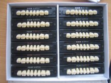 dental artificial teeth