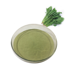 Best spinach juice powder