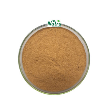 Organic Motherwort Herb Extract Powder