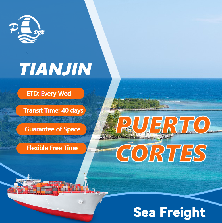 Sea Freight from Tianjin to PUERTO CORTES
