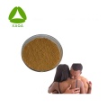 Aprimoramento sexual 10: 1 Songotaria Cynomorium Extract