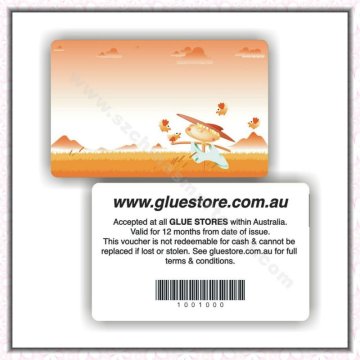 Plastic promotional discount vip card