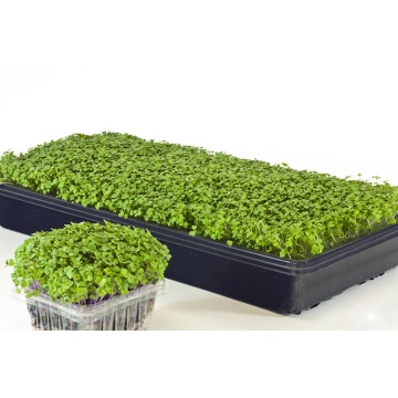 brotes de Semillas germinadas Plato de Vegetales de vivero Grow Bandeja rongweiwang Hidropon/ía Planta de semillero Bandeja Doble Bandeja de siembra de la semilla Capas Bandeja de pl/ántulas
