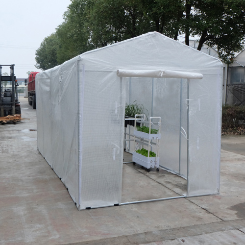 Skyplant beliebtestes kompaktes begehbares Polytunnel-Gewächshaus