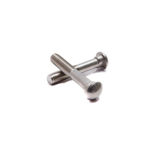 Stainless steel track bolts / tail screws