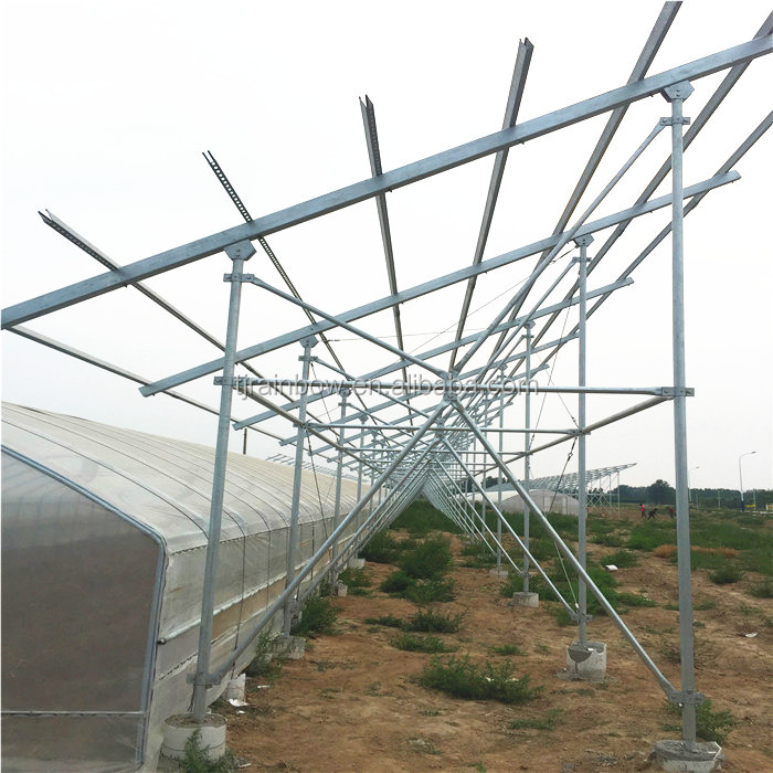 Galvanized Steel Pipe Multi-span for Greenhouses