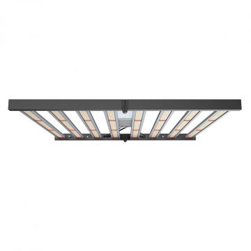 Modern Grow Light 4ft 8球根