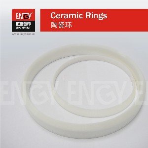 Pad Printing Zirconia Ceramic Knife Ring for Pad Printer