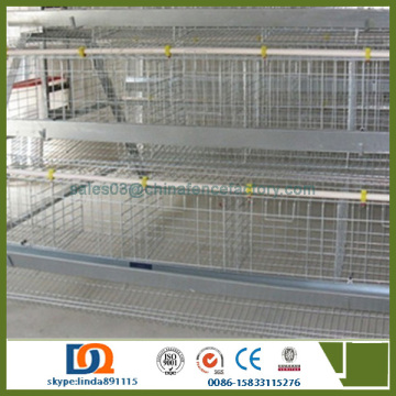 layer poultry cage for chicken cage